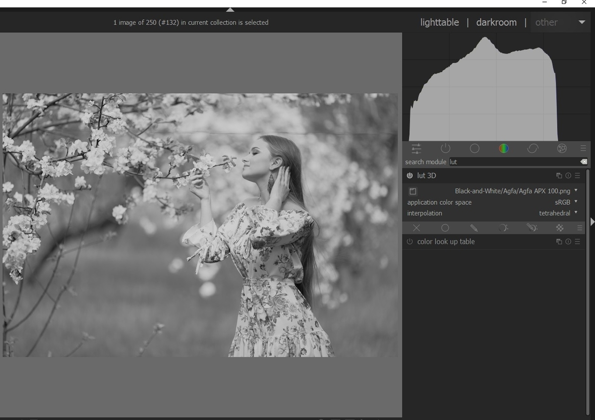 f:id:computer_philosopher:20210823231412j:plain