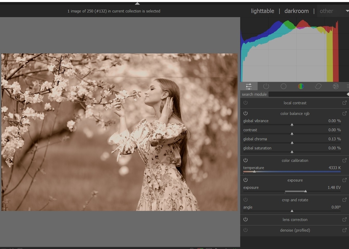 f:id:computer_philosopher:20210823231429j:plain