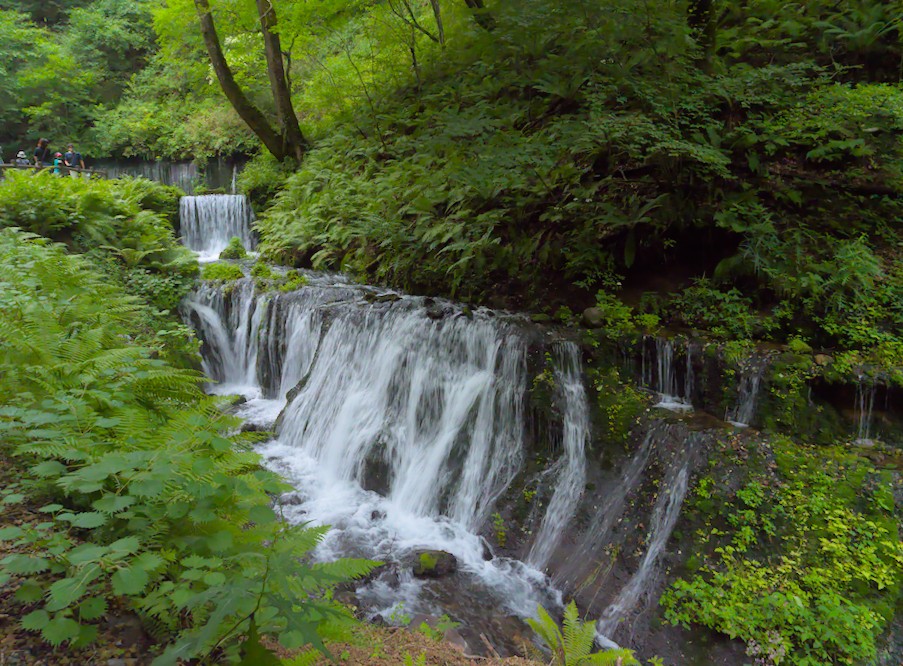 f:id:computer_philosopher:20210825231532j:plain