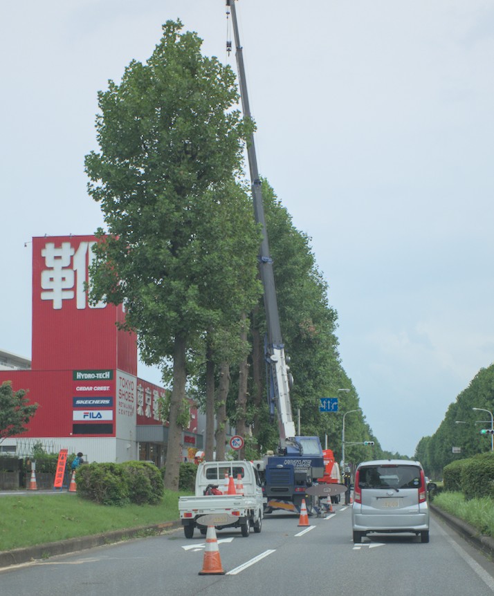 f:id:computer_philosopher:20210826230951j:plain