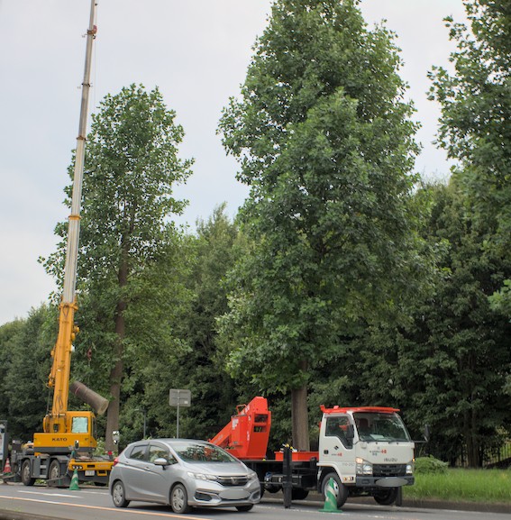 f:id:computer_philosopher:20210826231014j:plain