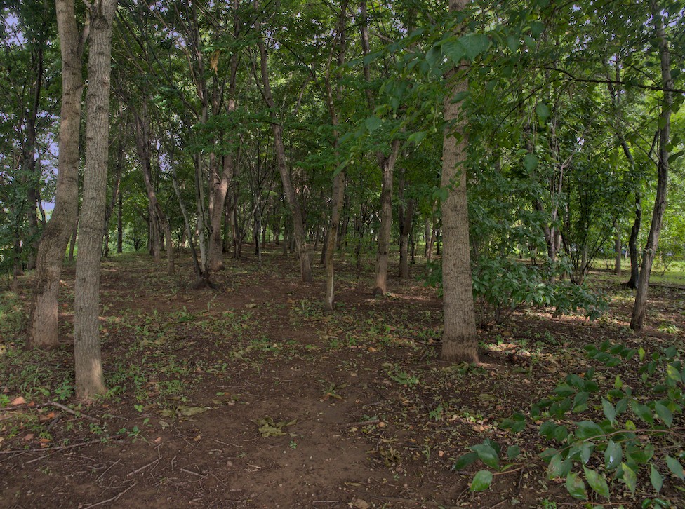 f:id:computer_philosopher:20210903231319j:plain