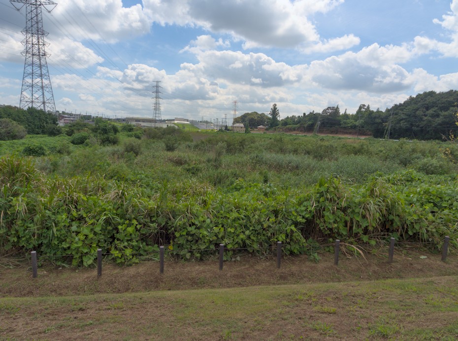 f:id:computer_philosopher:20210914214620j:plain