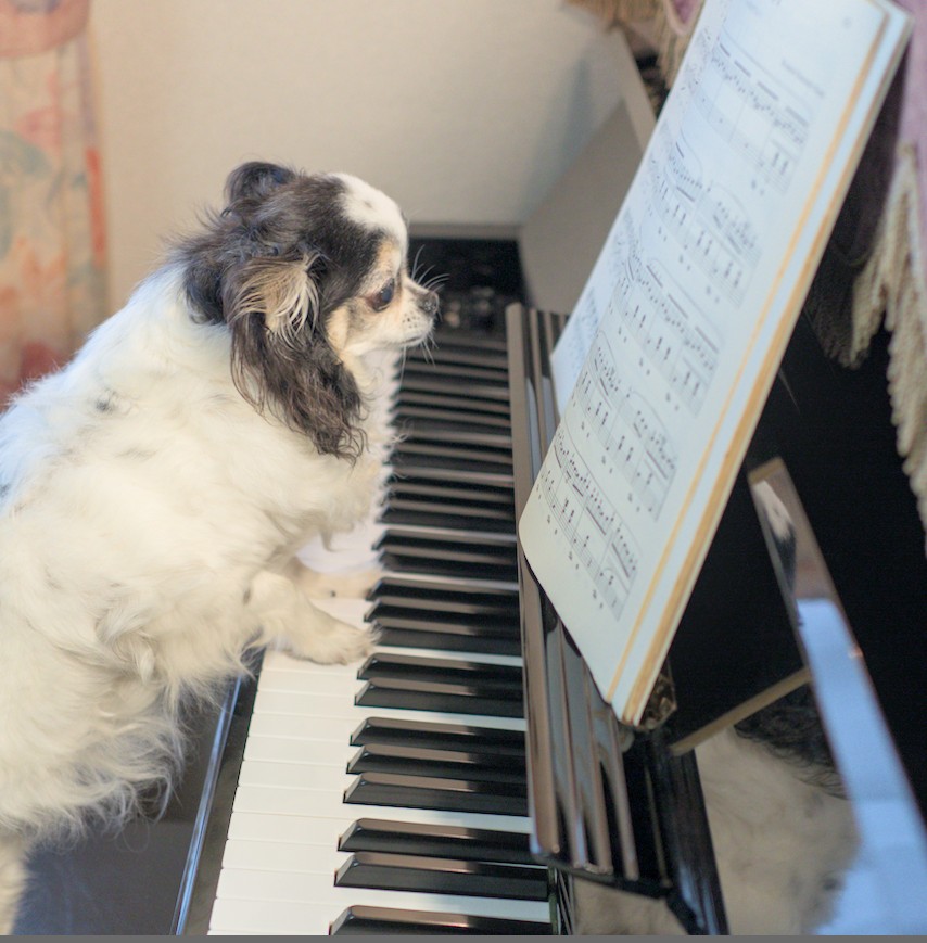 f:id:computer_philosopher:20210916225556j:plain