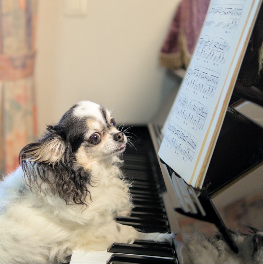 f:id:computer_philosopher:20210916225608j:plain