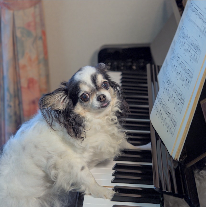 f:id:computer_philosopher:20210916225622j:plain