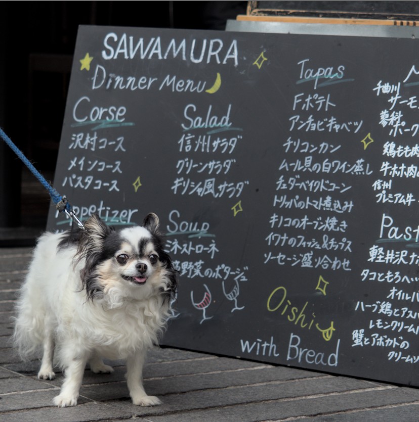 f:id:computer_philosopher:20210917225140j:plain