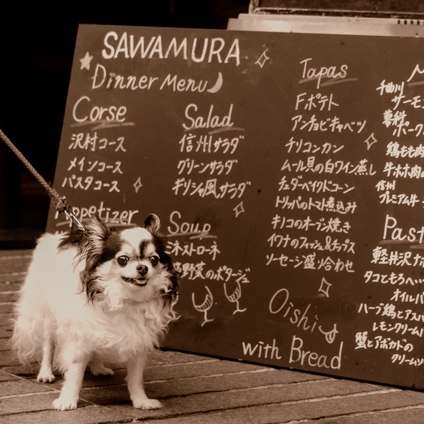 f:id:computer_philosopher:20210918221823j:plain