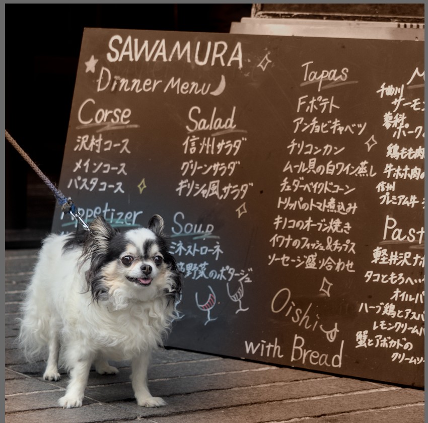 f:id:computer_philosopher:20210918222033j:plain