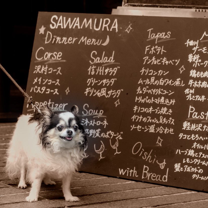 f:id:computer_philosopher:20210918222108j:plain