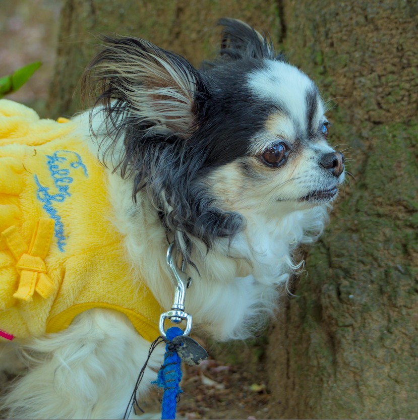 f:id:computer_philosopher:20210918222130j:plain