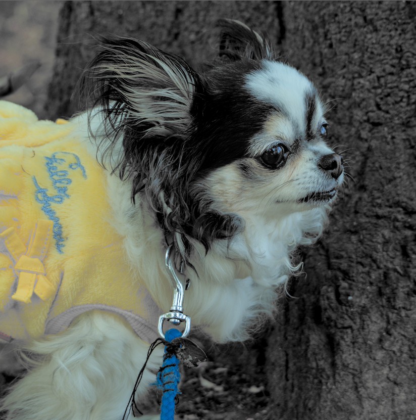 f:id:computer_philosopher:20210918222205j:plain