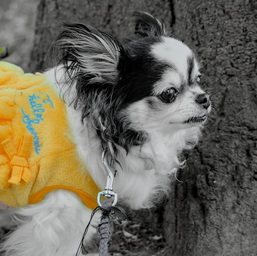 f:id:computer_philosopher:20210918222222j:plain