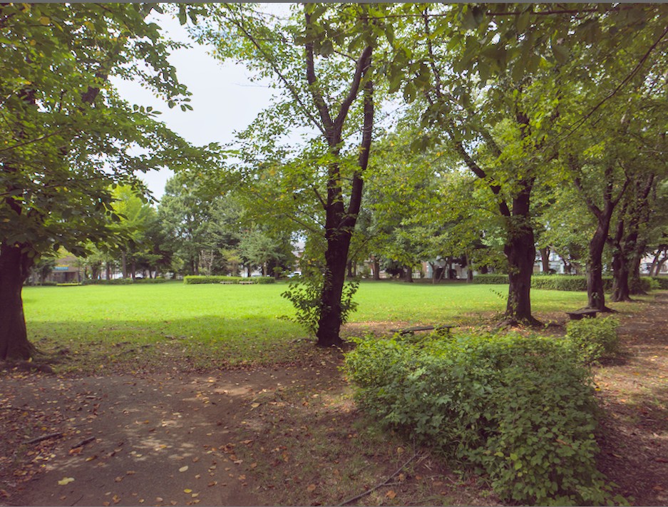 f:id:computer_philosopher:20210919233632j:plain