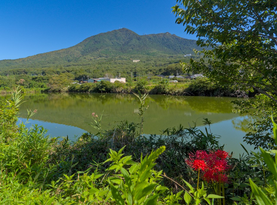 f:id:computer_philosopher:20210922225539j:plain