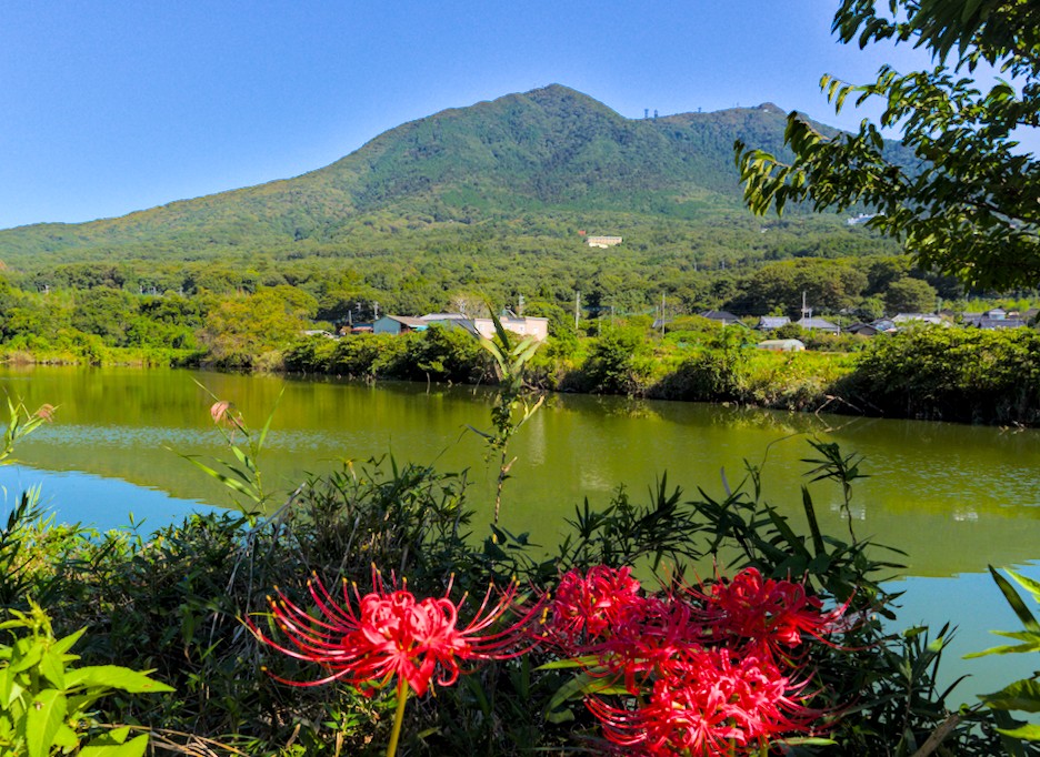 f:id:computer_philosopher:20210922225603j:plain