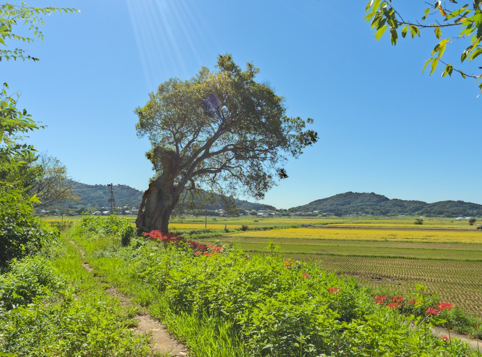 f:id:computer_philosopher:20210923205011j:plain