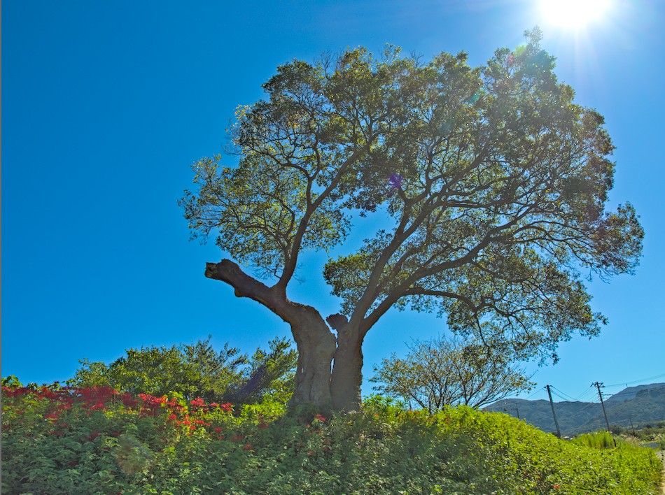 f:id:computer_philosopher:20210923205029j:plain