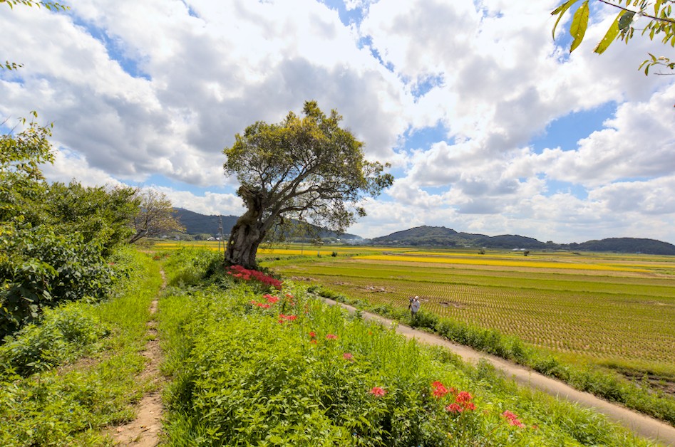 f:id:computer_philosopher:20210923205049j:plain