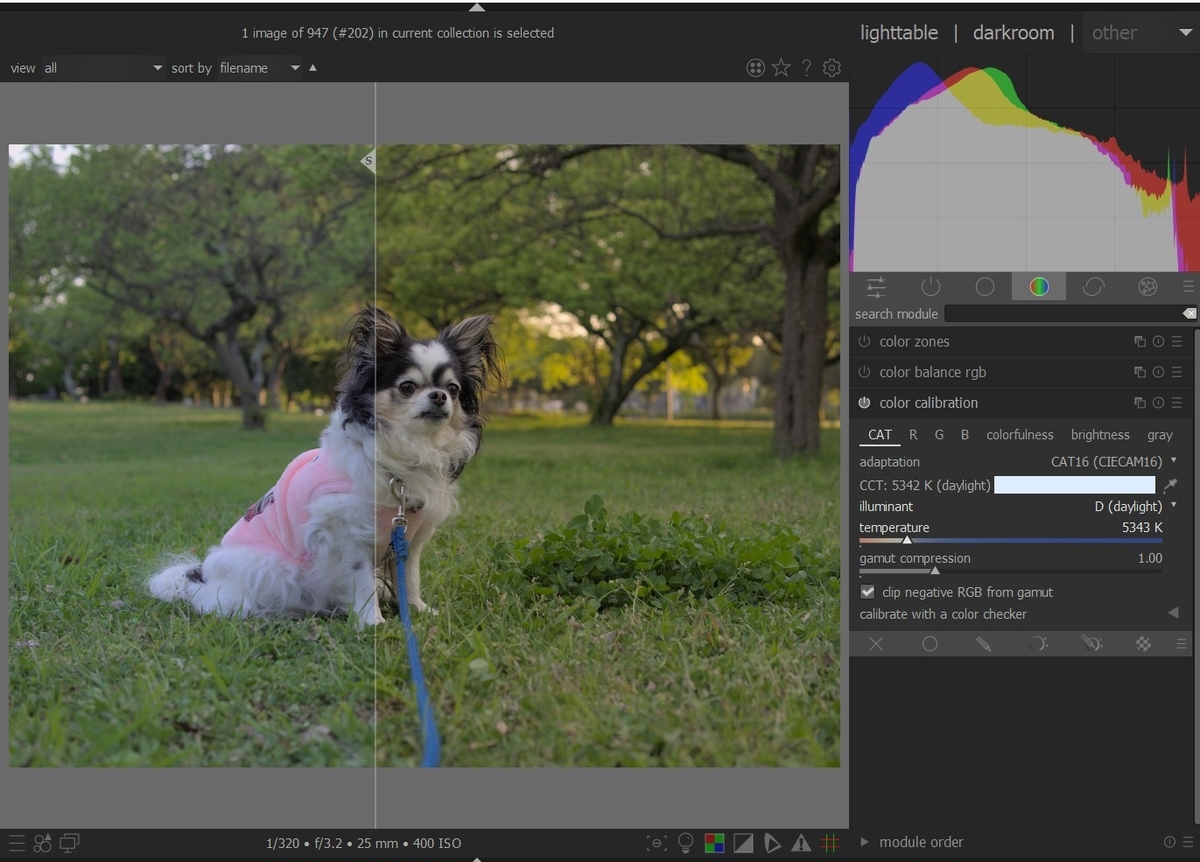 f:id:computer_philosopher:20211010221045j:plain