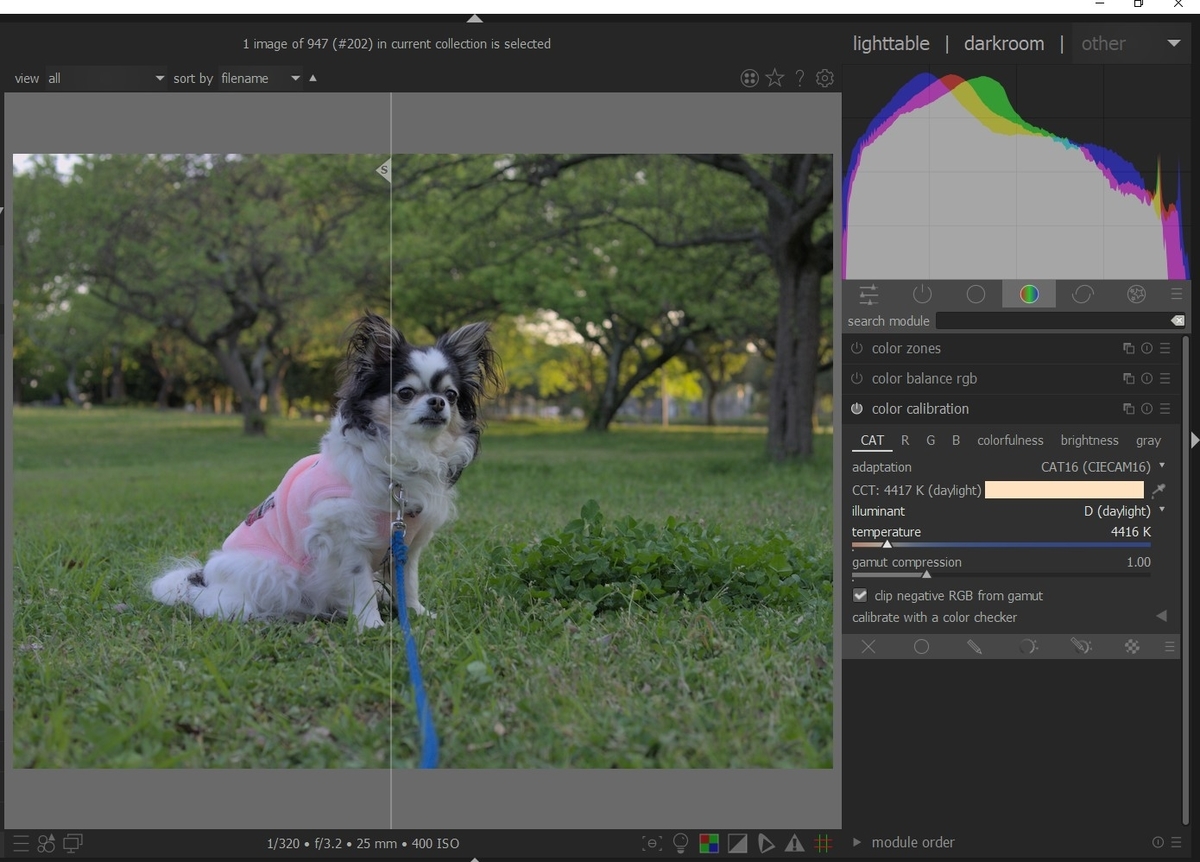 f:id:computer_philosopher:20211010221058j:plain