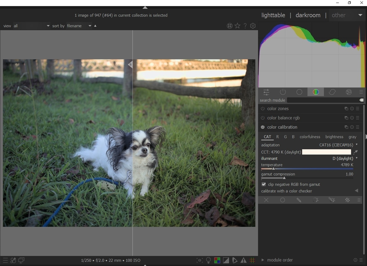 f:id:computer_philosopher:20211010221126j:plain