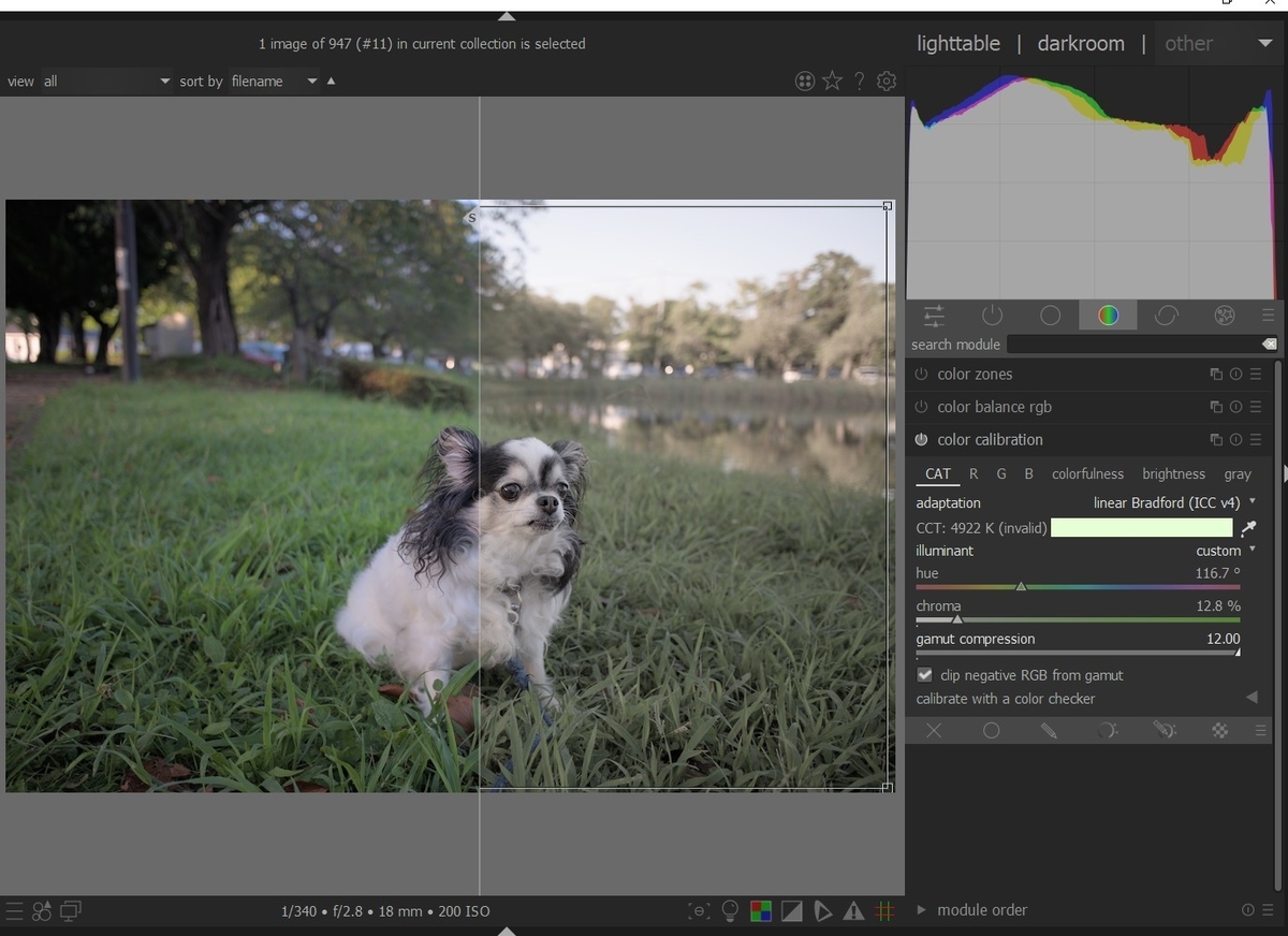 f:id:computer_philosopher:20211010221227j:plain