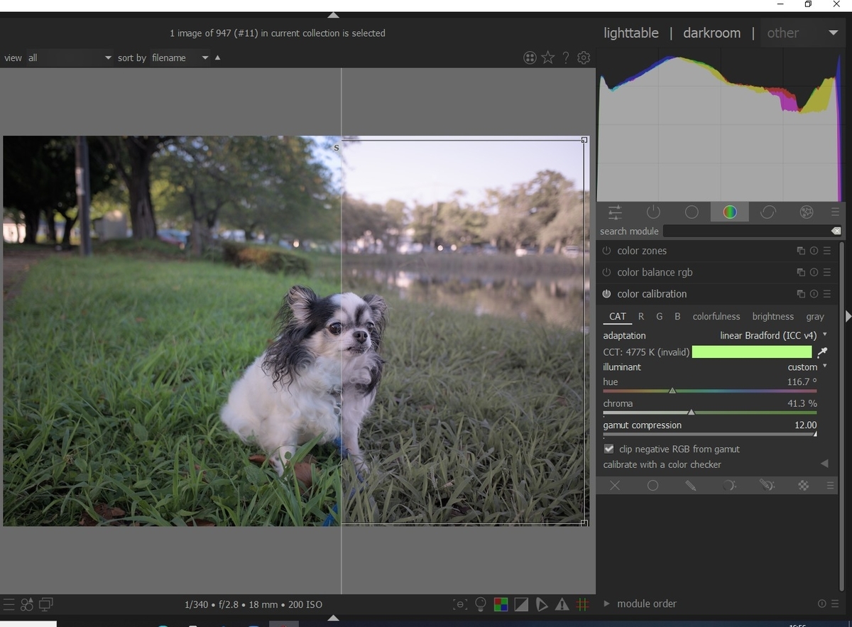 f:id:computer_philosopher:20211010221242j:plain