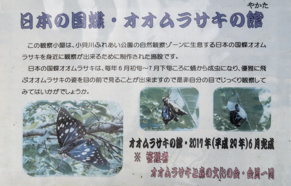 f:id:computer_philosopher:20211015231048j:plain