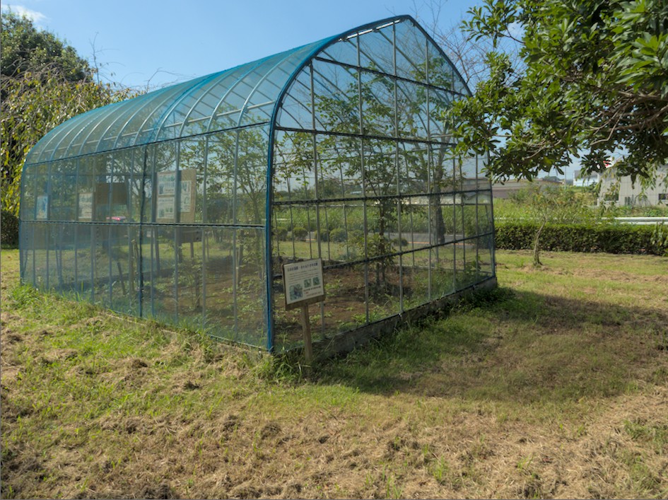 f:id:computer_philosopher:20211015231105j:plain