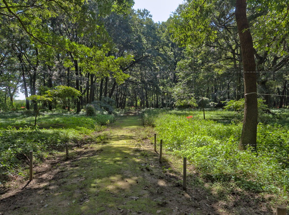 f:id:computer_philosopher:20211016224706j:plain