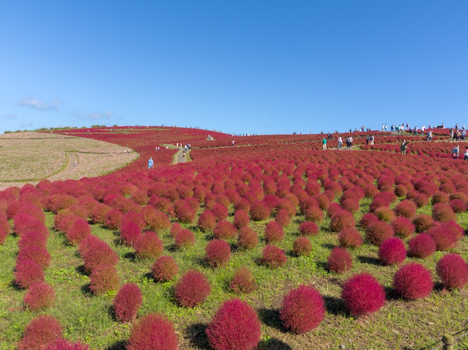 f:id:computer_philosopher:20211019214100j:plain