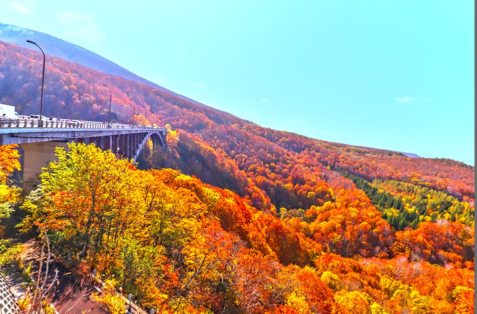 f:id:computer_philosopher:20211026225001j:plain