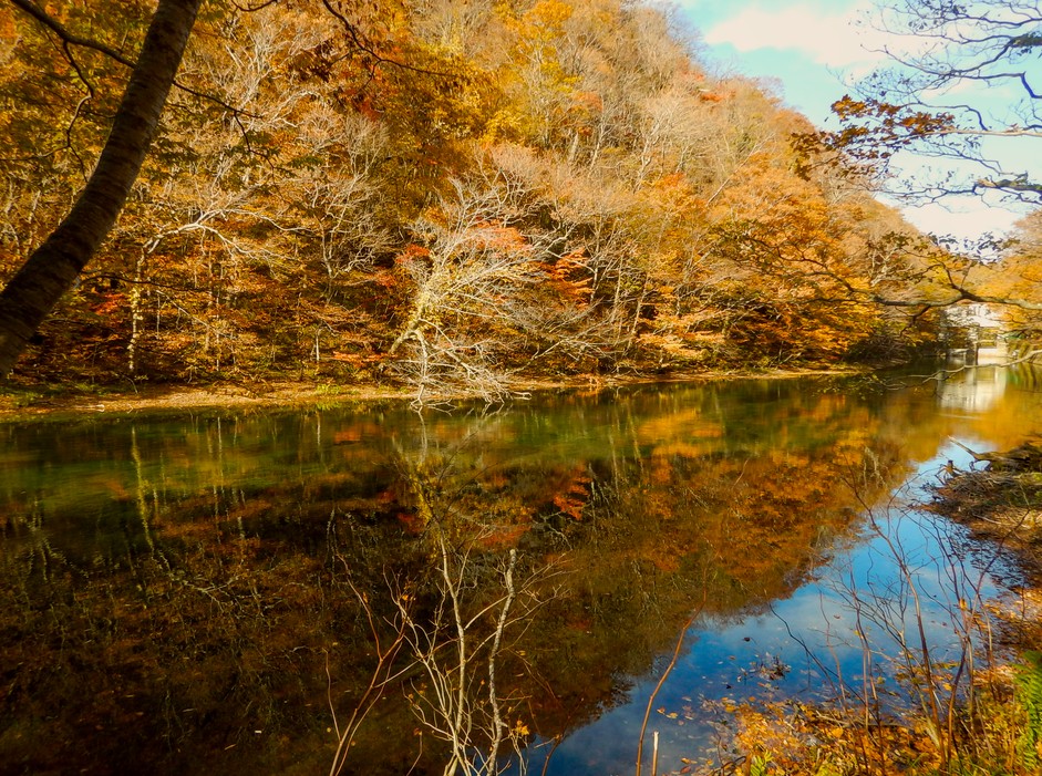 f:id:computer_philosopher:20211026225020j:plain