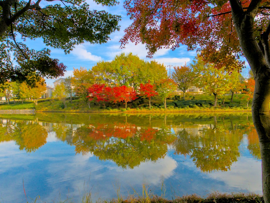 f:id:computer_philosopher:20211026225040j:plain