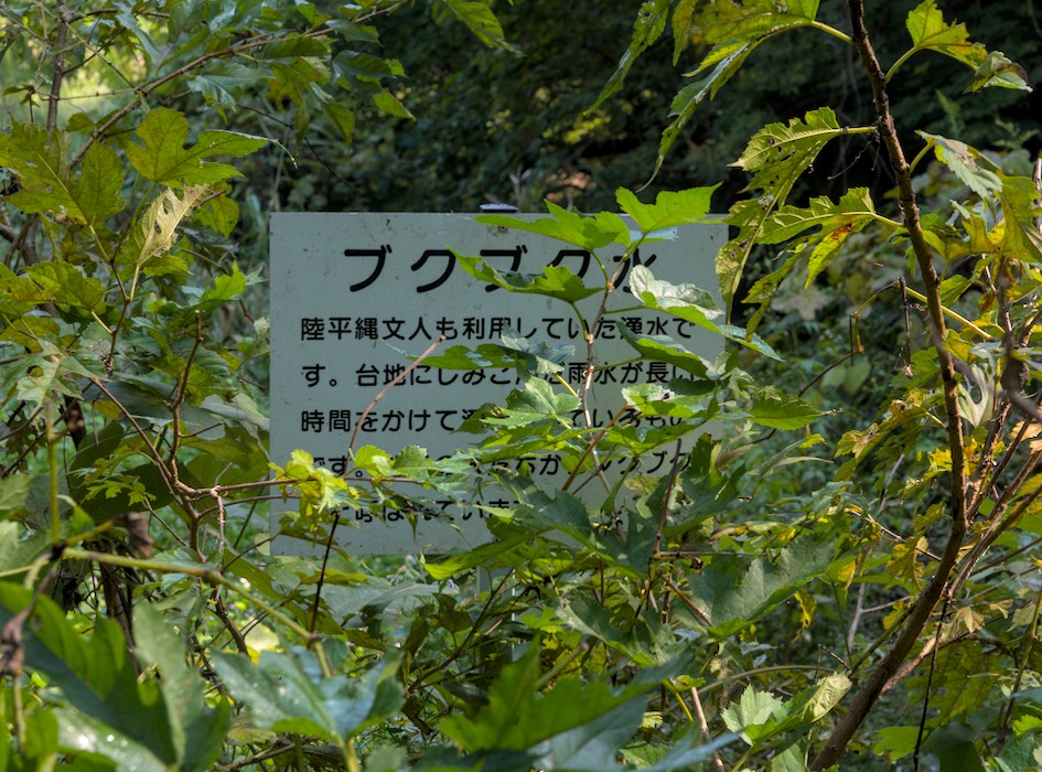 f:id:computer_philosopher:20211028231200j:plain