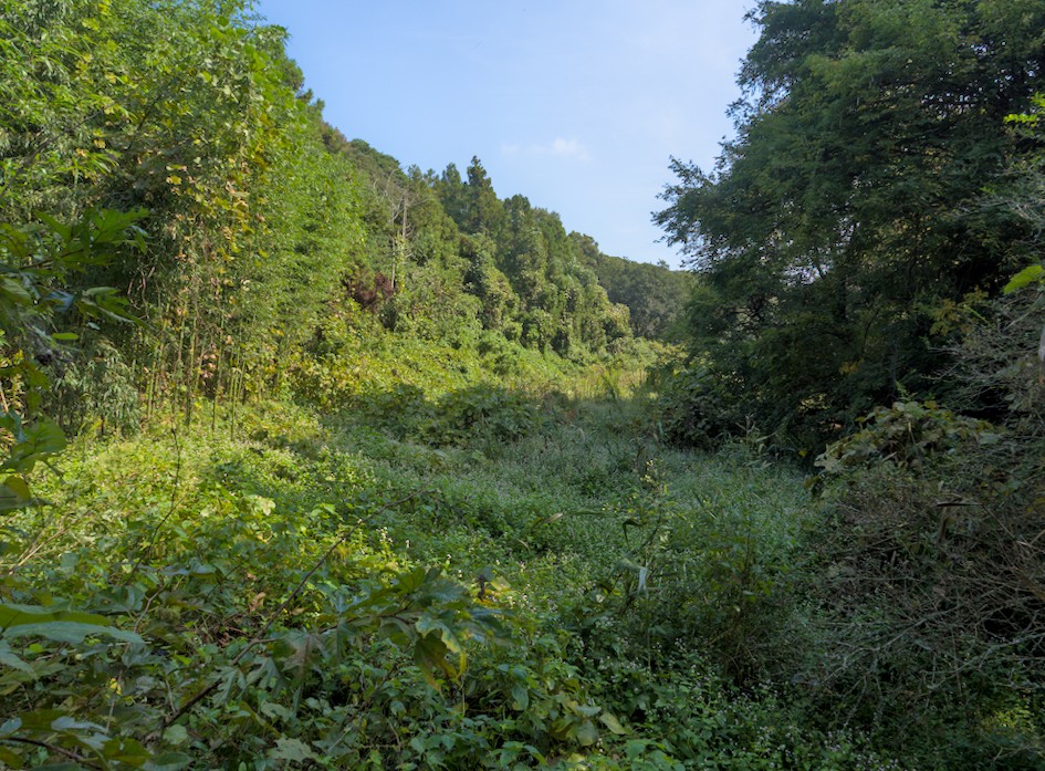 f:id:computer_philosopher:20211028231215j:plain