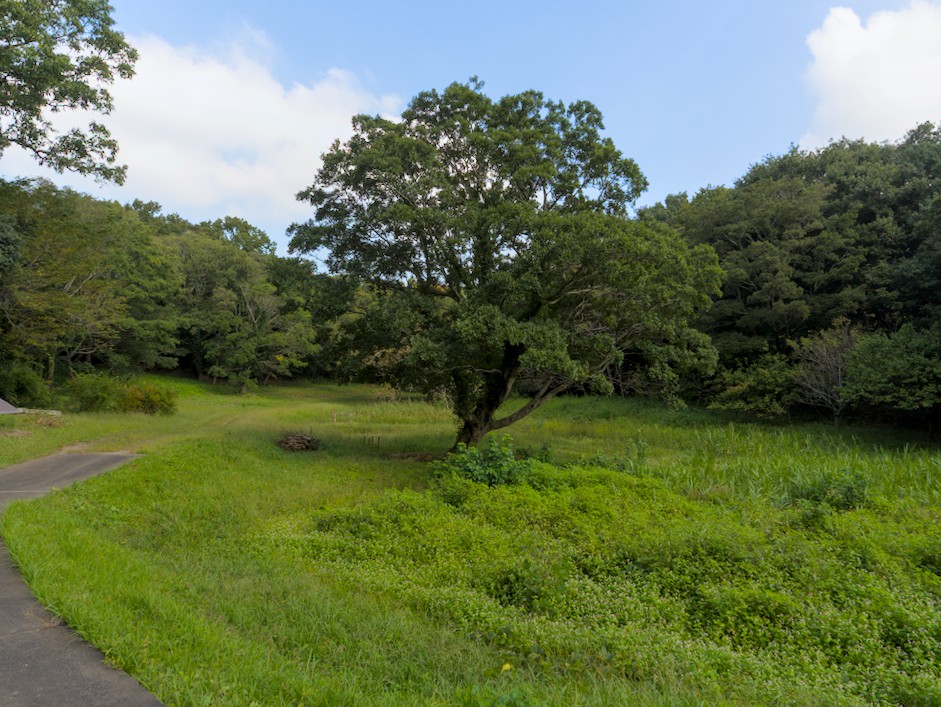 f:id:computer_philosopher:20211028231237j:plain