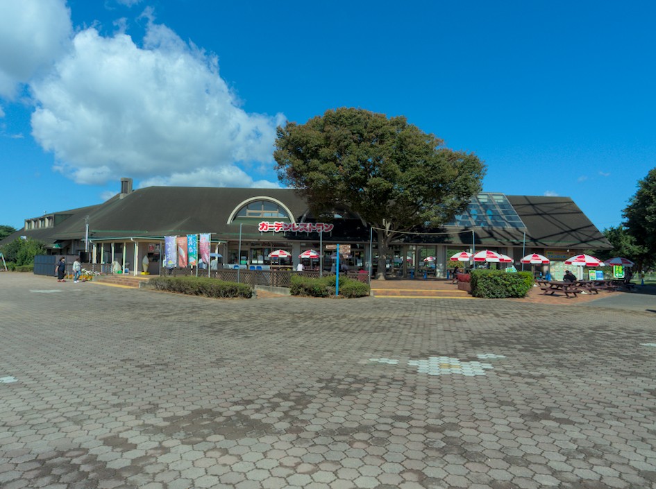 f:id:computer_philosopher:20211031231812j:plain