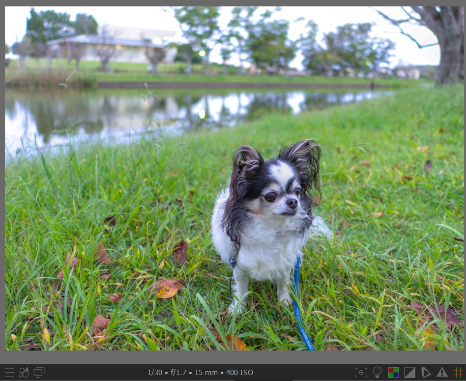 f:id:computer_philosopher:20211101233917j:plain