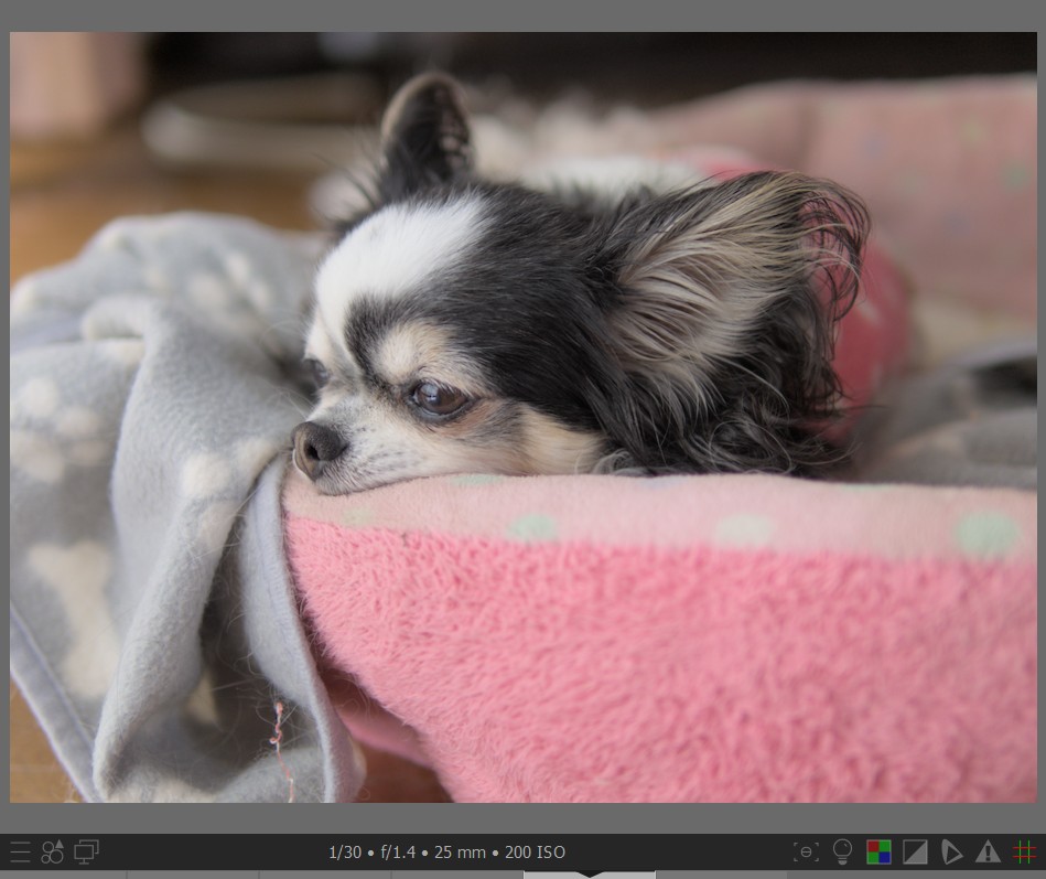 f:id:computer_philosopher:20211101233951j:plain