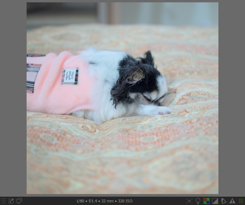 f:id:computer_philosopher:20211101234035j:plain