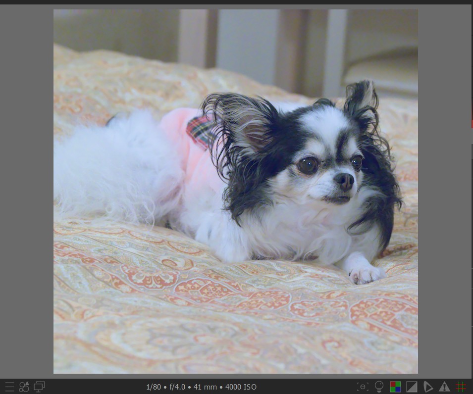 f:id:computer_philosopher:20211101234110j:plain