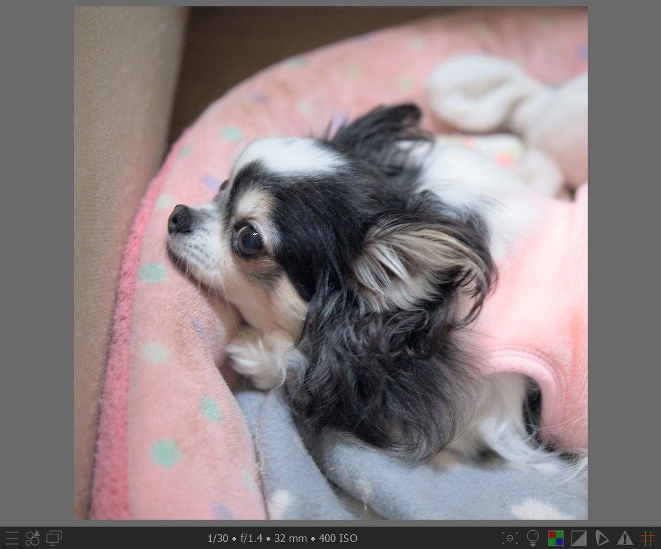 f:id:computer_philosopher:20211101234128j:plain