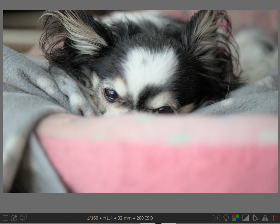 f:id:computer_philosopher:20211102225236j:plain