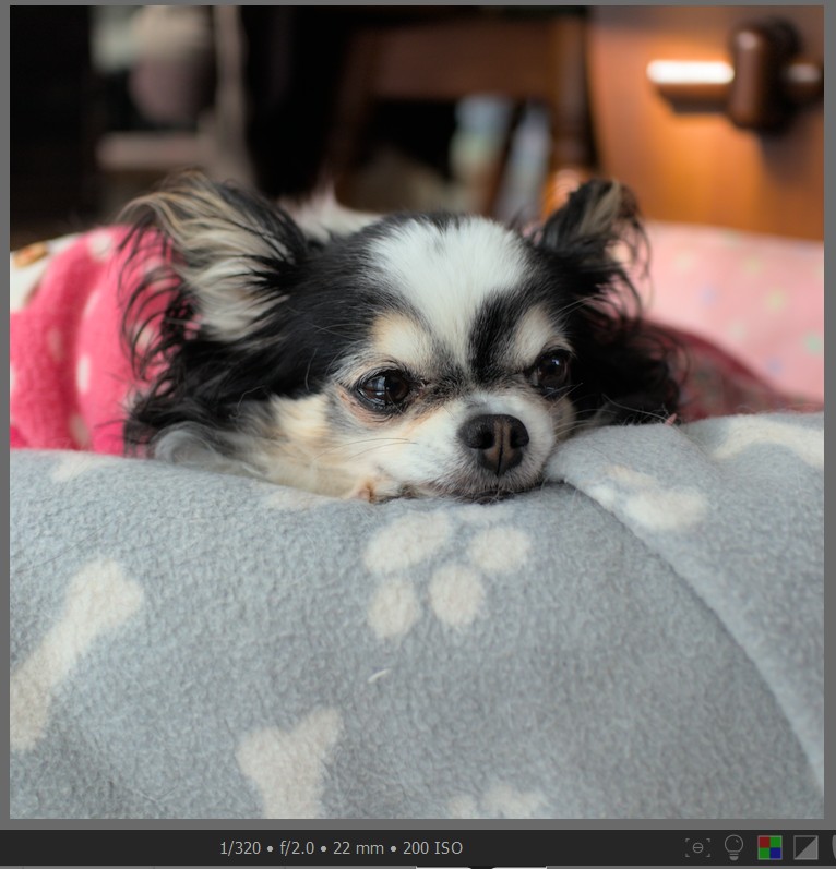 f:id:computer_philosopher:20211102225333j:plain