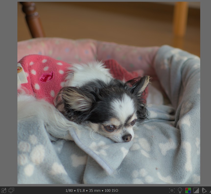 f:id:computer_philosopher:20211102225400j:plain