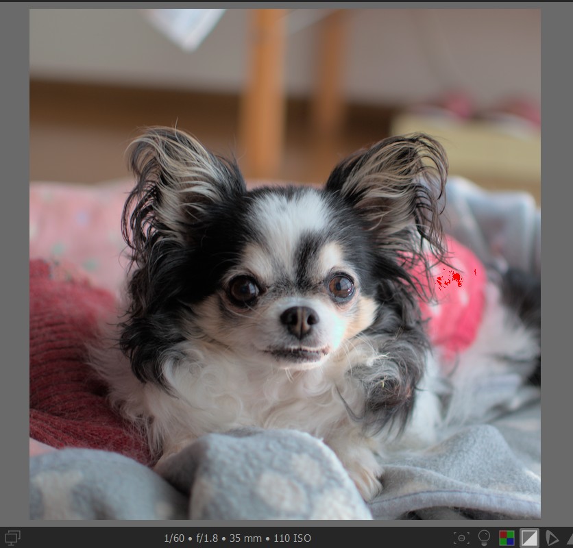 f:id:computer_philosopher:20211102225423j:plain