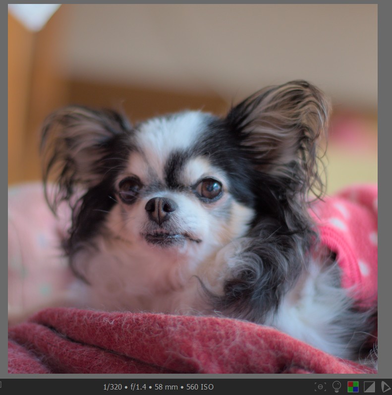 f:id:computer_philosopher:20211102225451j:plain