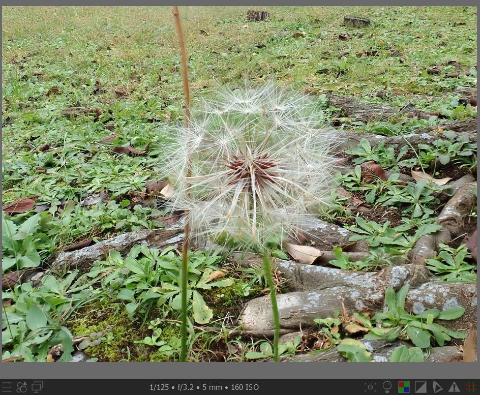 f:id:computer_philosopher:20211103223734j:plain